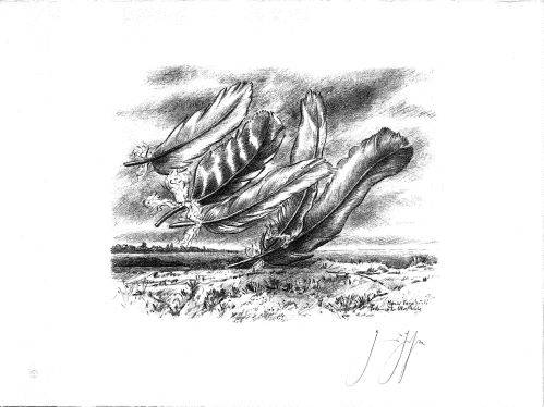 ��Ÿ �׶� �� (Guenter Grass Exhibition)</?=>